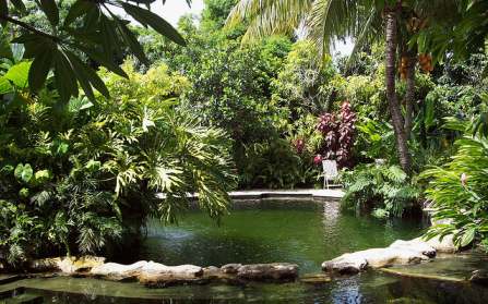 Tendance déco jardin : la piscine biologique