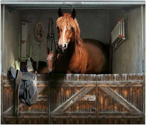 sticker porte de garage: une cheval dans le garage