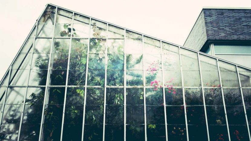 Serre de jardin en verre